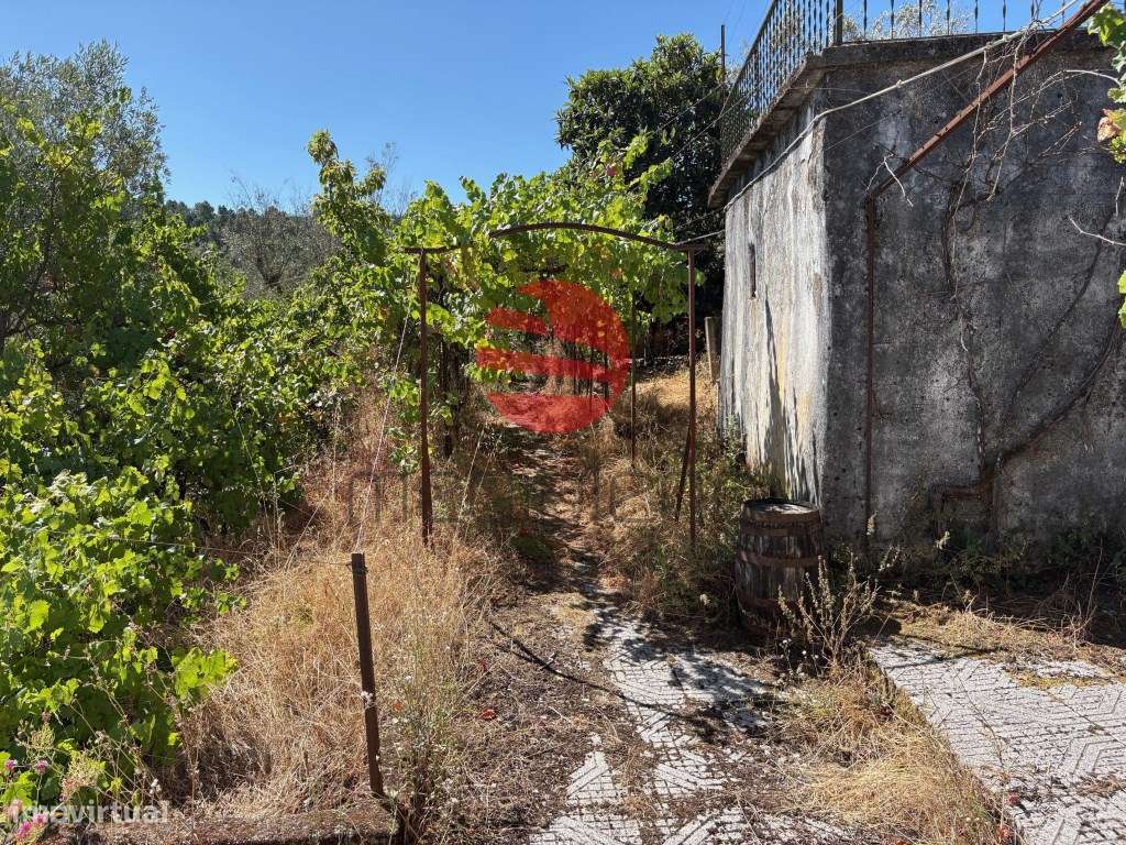 MORADIA C/TERRENO PARADINHA - Grande imagem: 3/19