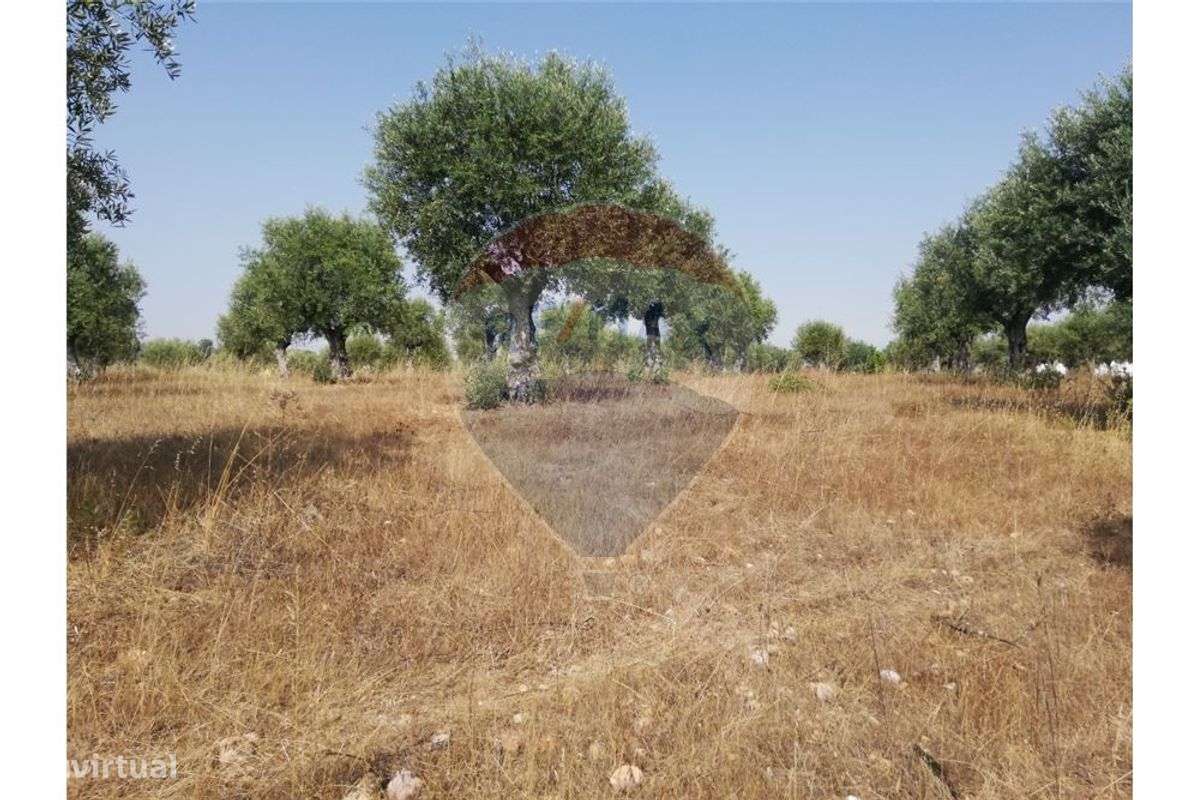 Terreno T0 para venda - Grande imagem: 4/26