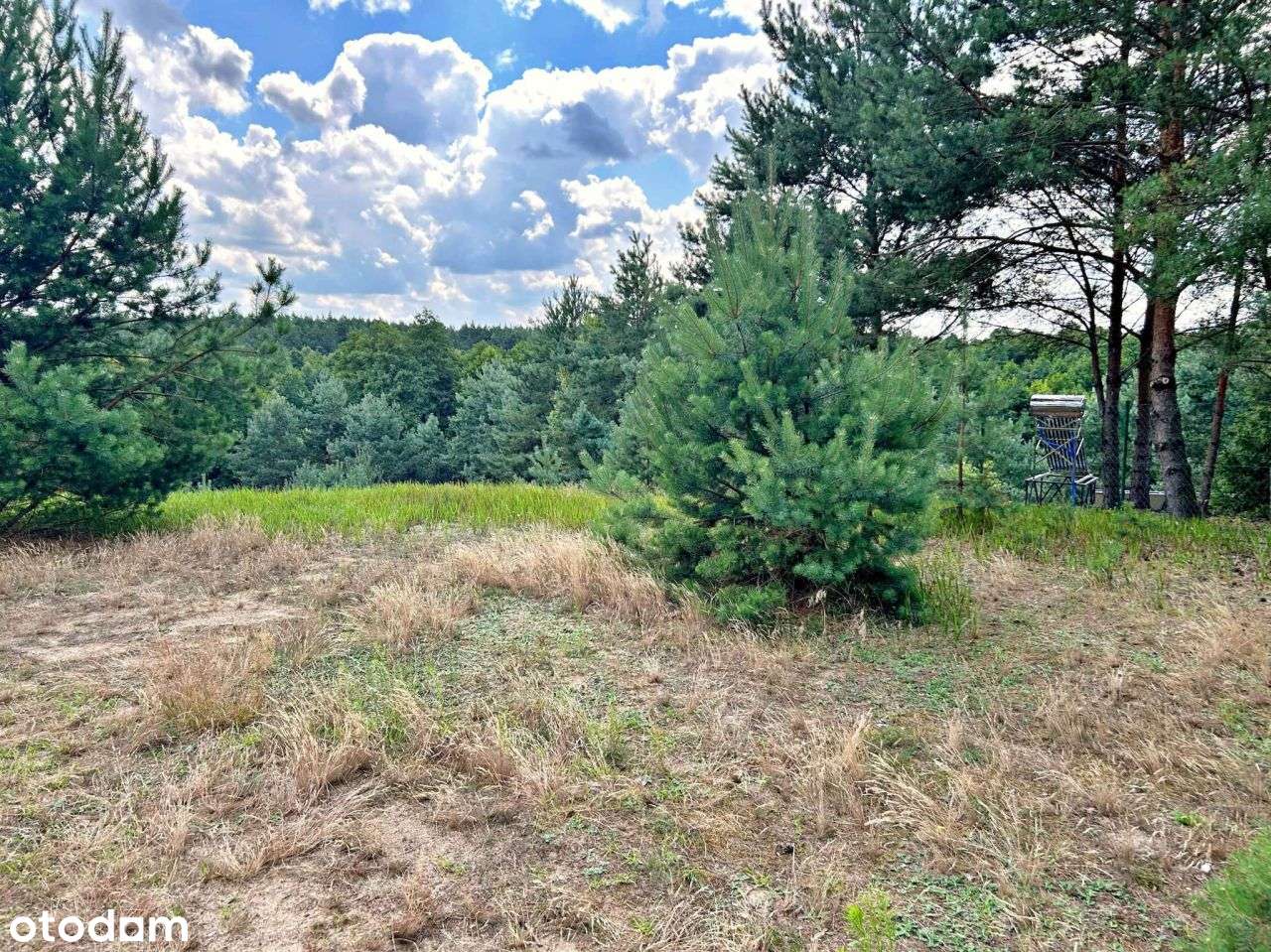 Wyjątkowa Działka Letniskowa przy Linii Brzegowej - Pełny obrazek: 5/11