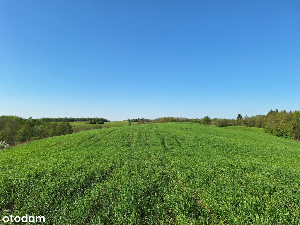 Działka w otoczeniu natury 30001m2