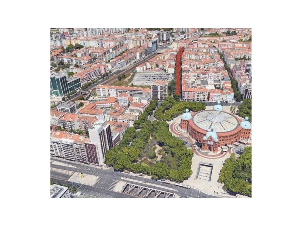 Charmoso e luminoso T1 no coração de Lisboa, com logradouro privativo-9