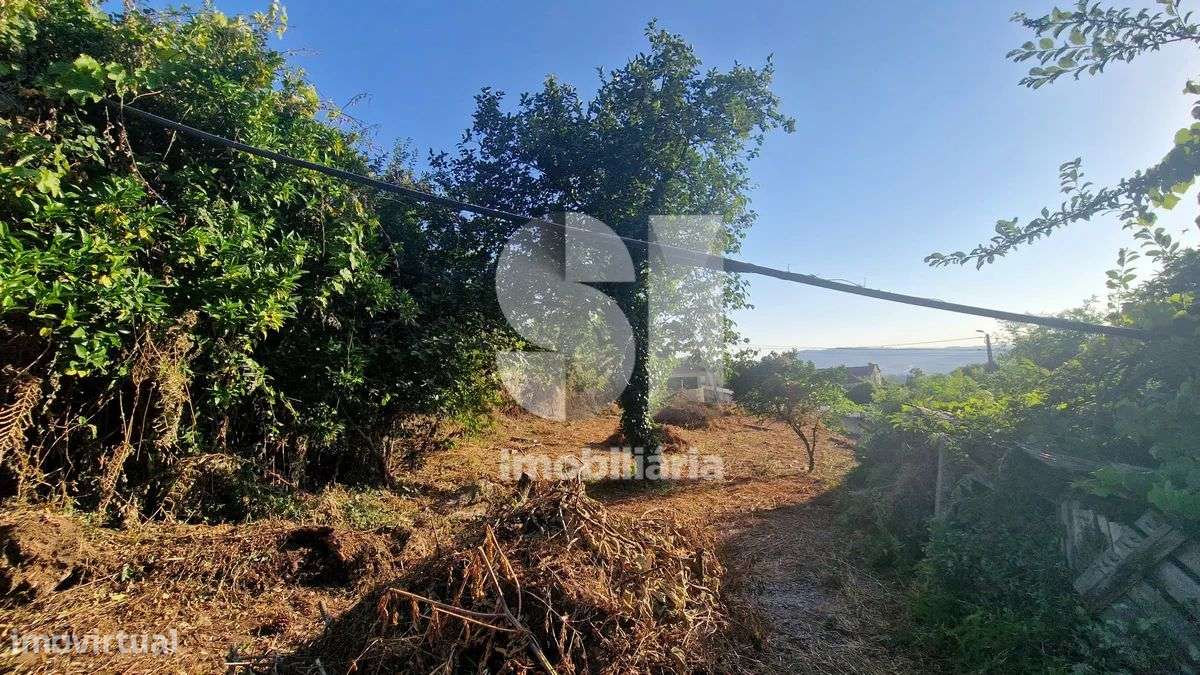 Terreno - potencial de investimento - Astromil - Paredes-30