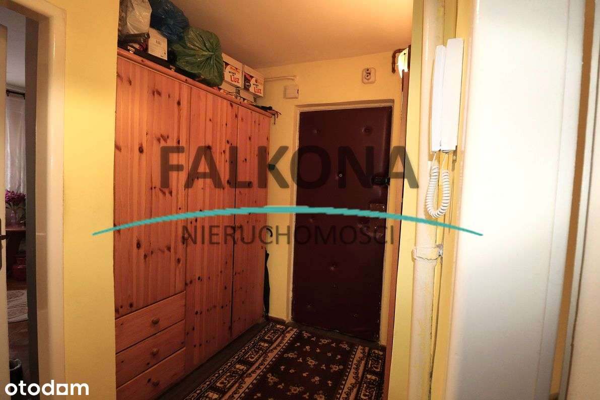 Przestronne mieszkanie w świetnej lokalizacji-8