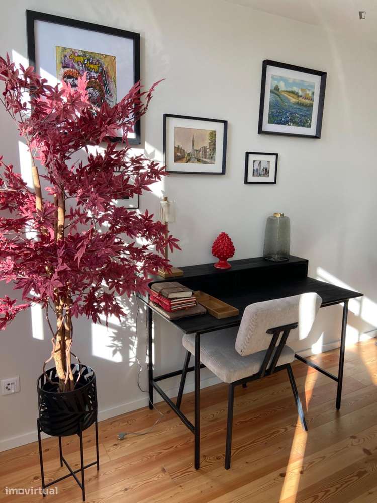 Apartamento com 1 quartos - localizado em Aveiro - Grande imagem: 5/14