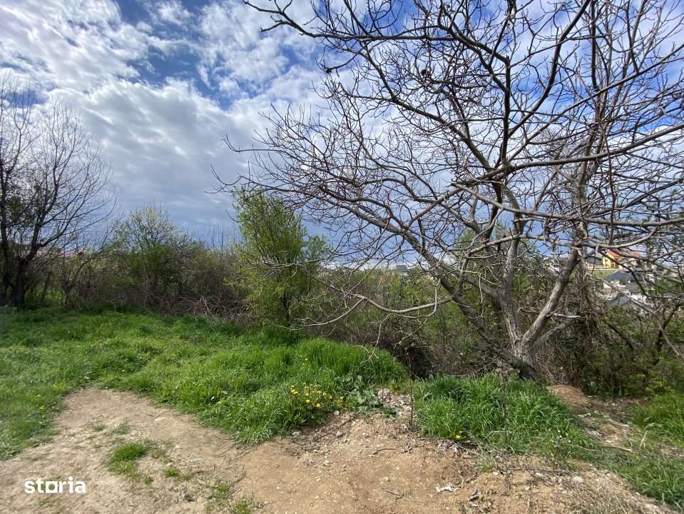 Teren intravilan 1.577 mp in Geamana, Bradu - Imagine principală: 2/7