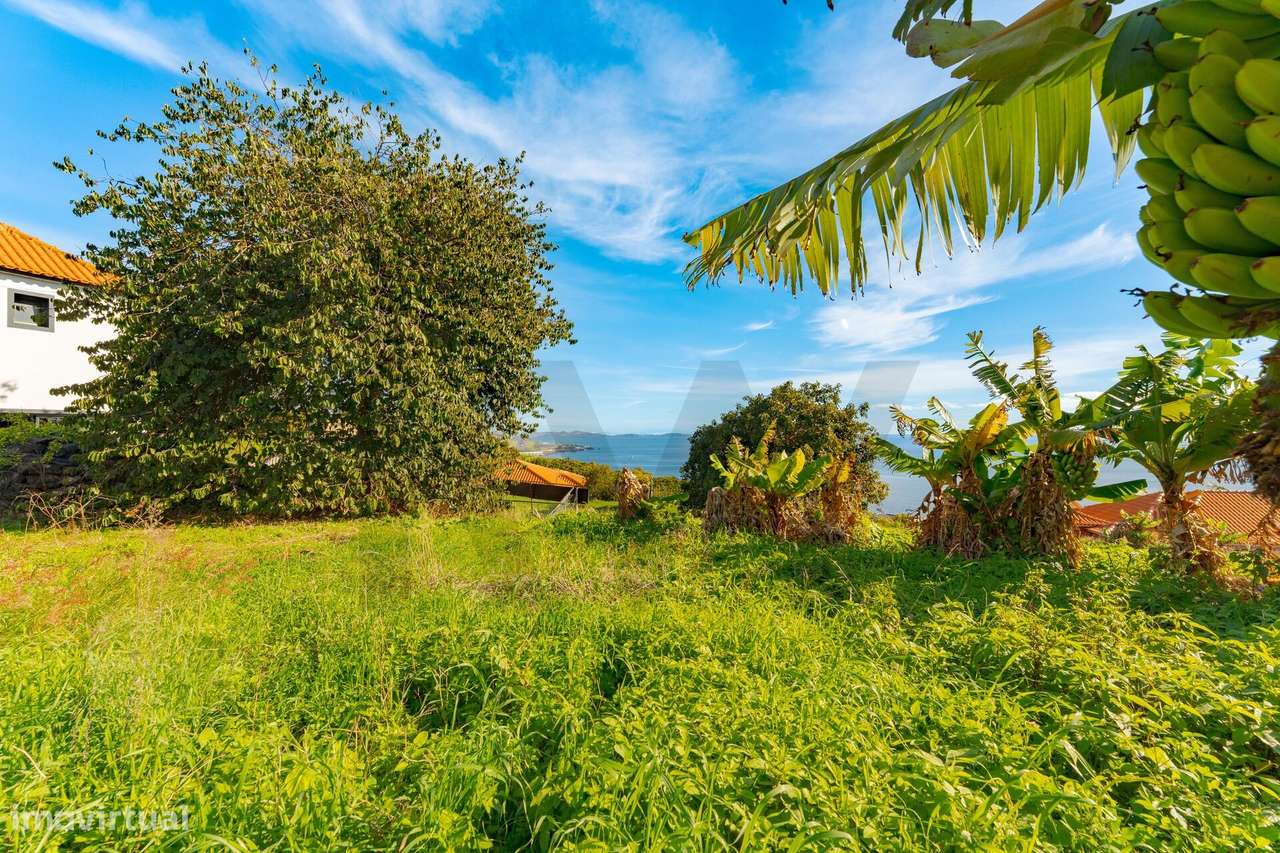 Moradia T3 com escritório, dois pisos e grande lote — Gaula, Santa Cru-40