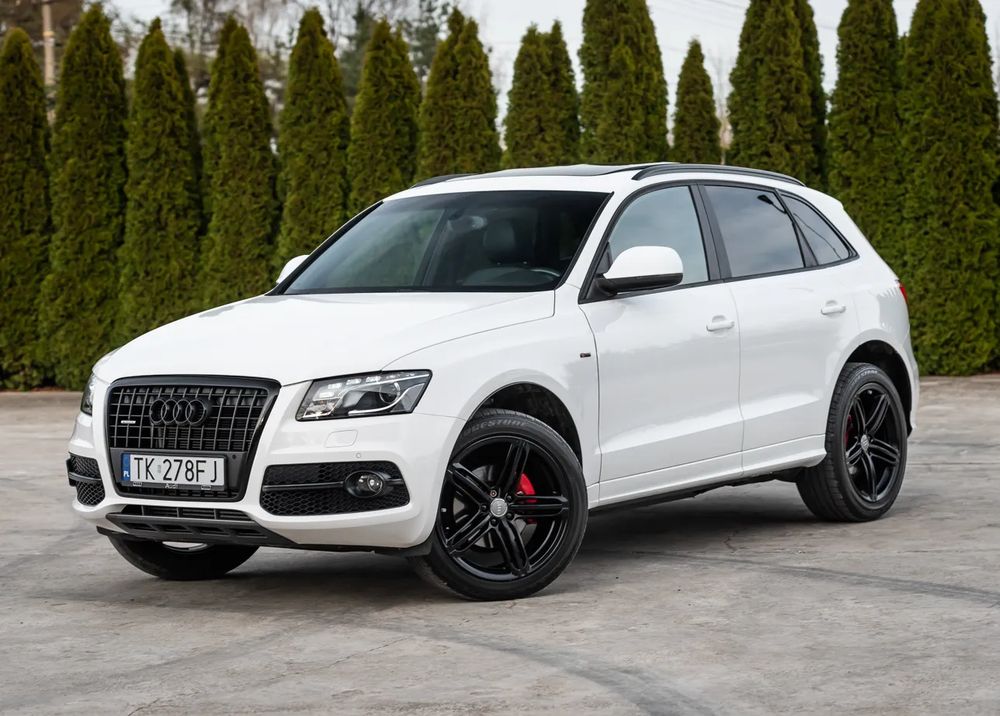 Audi Q5 8R 2.0 TDI Quattro S tronic 2010