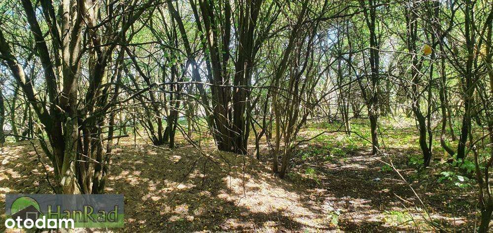 budownictwo mieszkaniowe - miejsc. plan Swarzędz - Pełny obrazek: 5/7