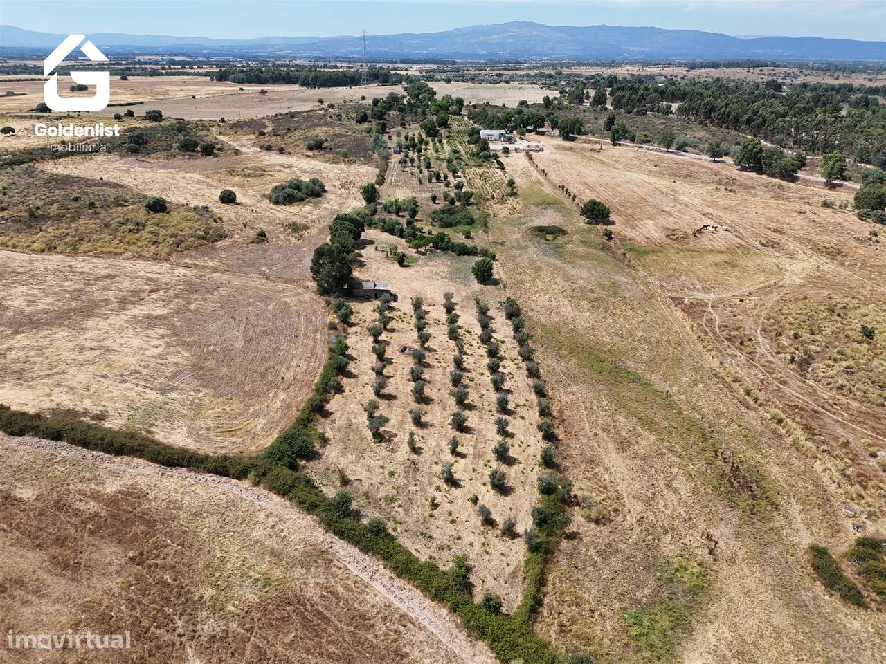 Quintinha  Venda em Escalos de Cima e Lousa,Castelo Branco-21