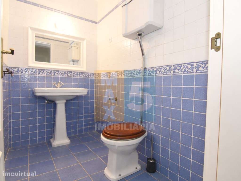 Quinta com 4.880 m2 - Alpiarça-10