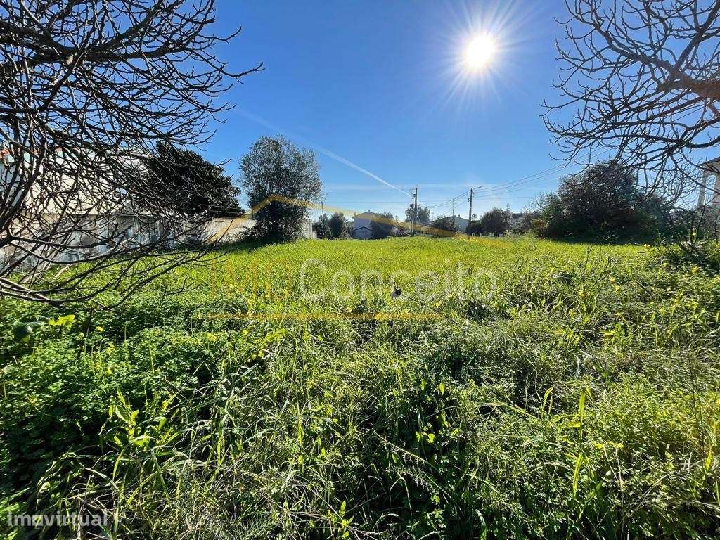 Lote Terreno para Construção- Entroncamento - Grande imagem: 4/7