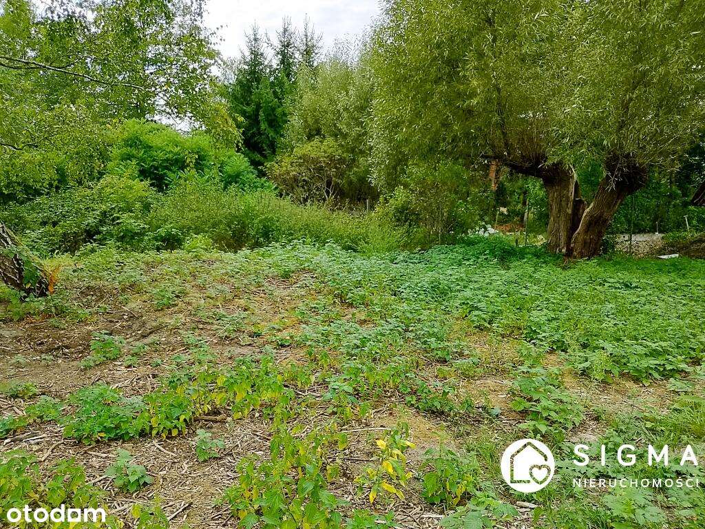 Działka Henryszew przy lesie  PKP - Pełny obrazek: 5/5