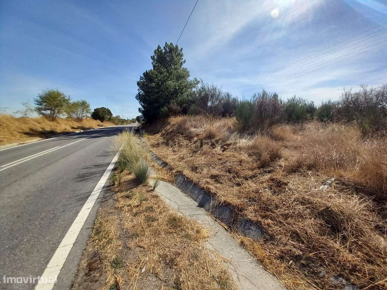 Terreno Rústico com 10250m2, Lardosa , Castelo Branco - Grande imagem: 5/9