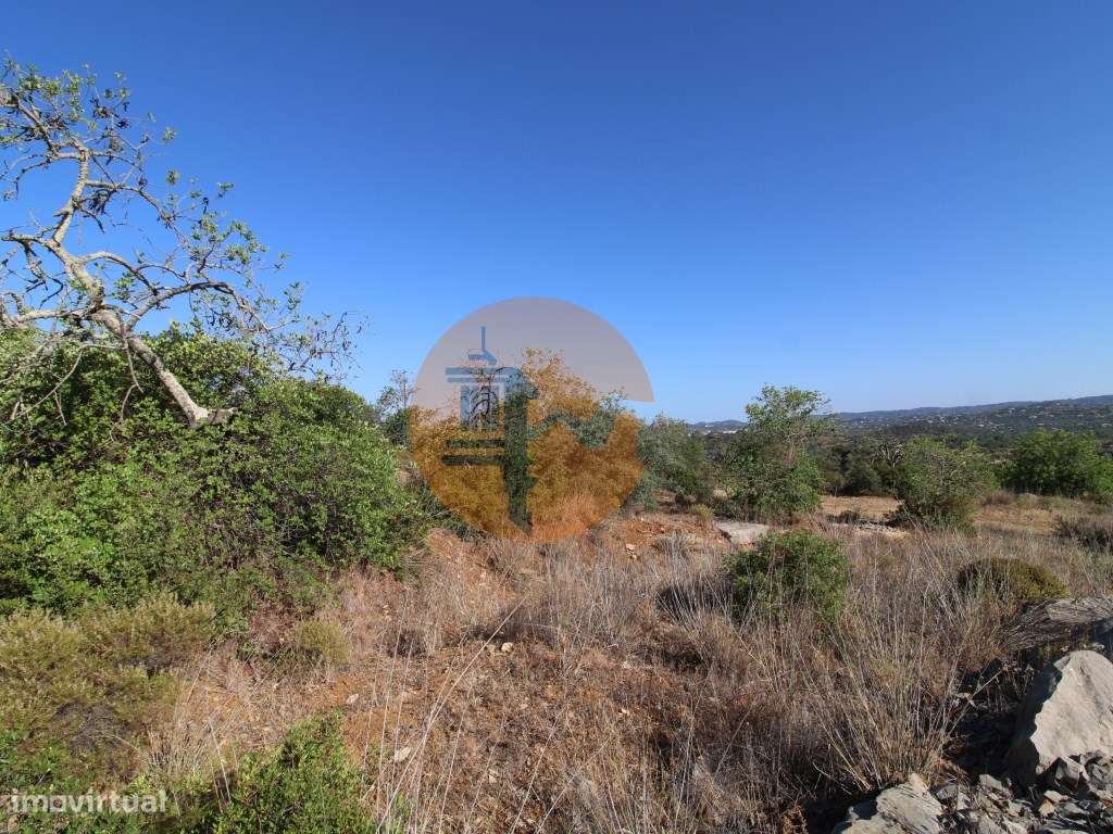 Terreno Rústico - Grande imagem: 5/20