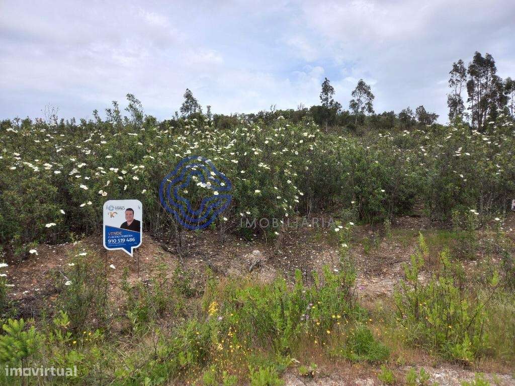 Lote de terreno para construção próximo de Constância no Centro de Por - Grande imagem: 4/11