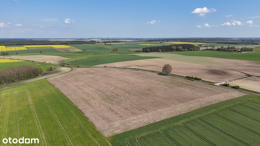 Na sprzedaż grunty orne i łąki 19ha, Tarnówka