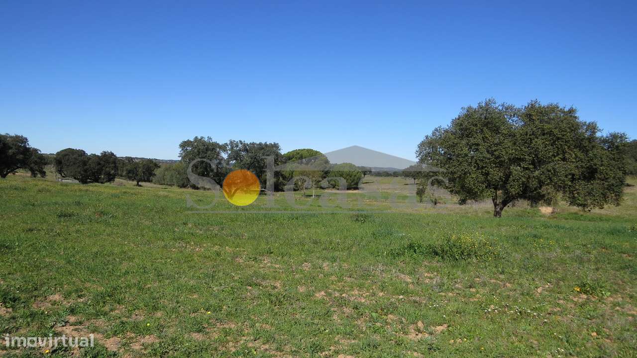 Terreno rústico de 13620 m² em Alcácer do Sal-6