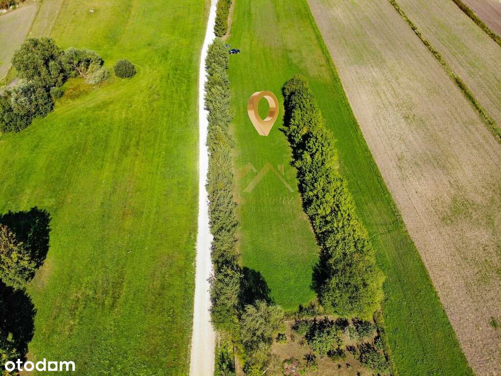 500 m od jeziora Szurpiły | Działka 5017 m² - Pełny obrazek: 3/8