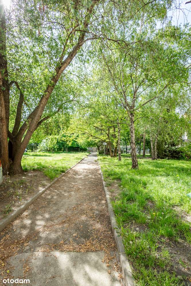 2 pokoje|rozkładowe|kamienica z miejskim ogrzewaniem | widok na zieleń-15