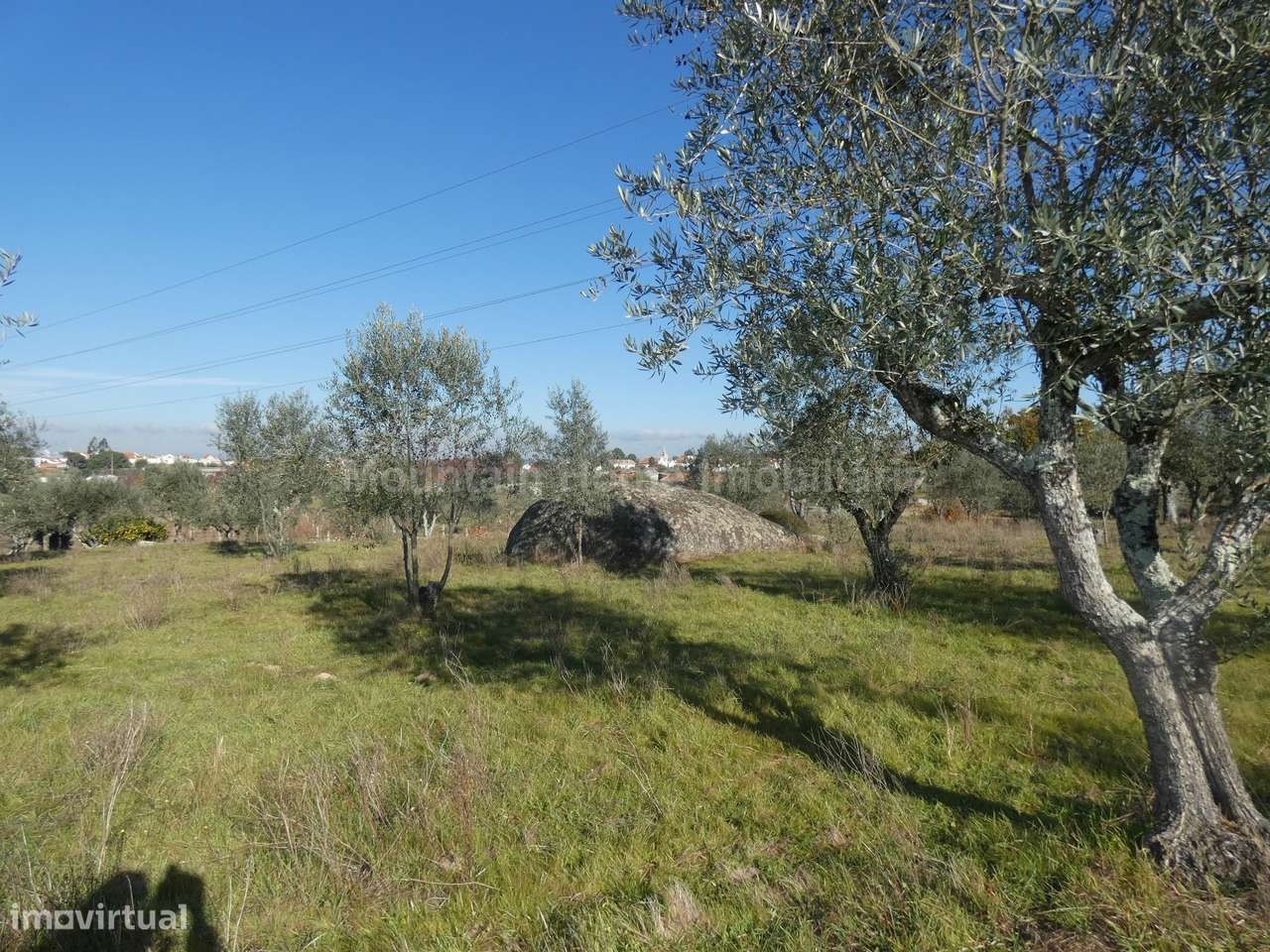 Quinta  Venda em Paranhos,Seia - Grande imagem: 4/16