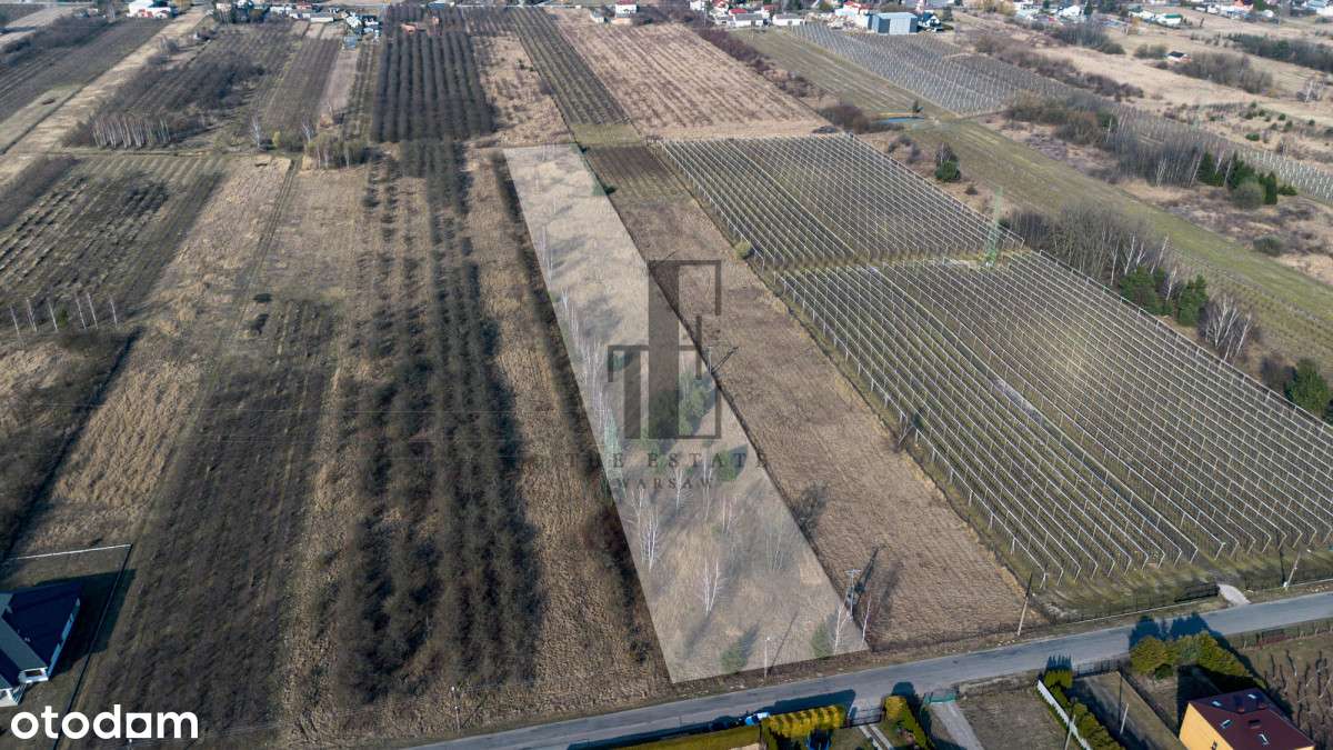 Działka rolna w Warce | brak Mpzp - Pełny obrazek: 2/10