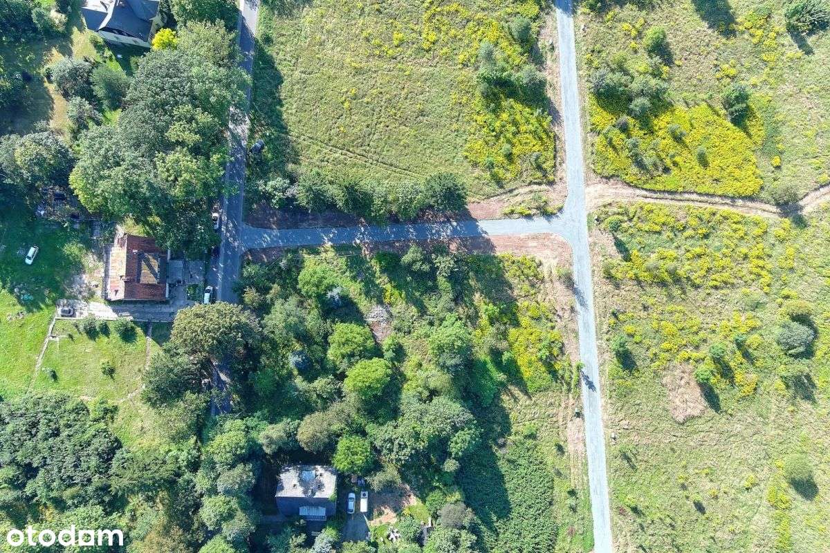 100664 - Pełny obrazek: 4/4