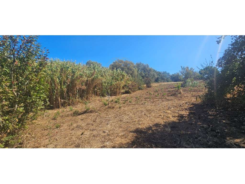 Terreno para construção de 2 Moradias!-6