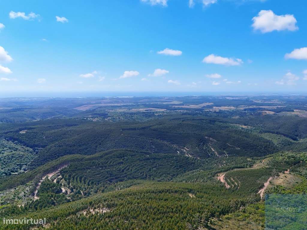 Terreno em São Teotónio, Odemira-10