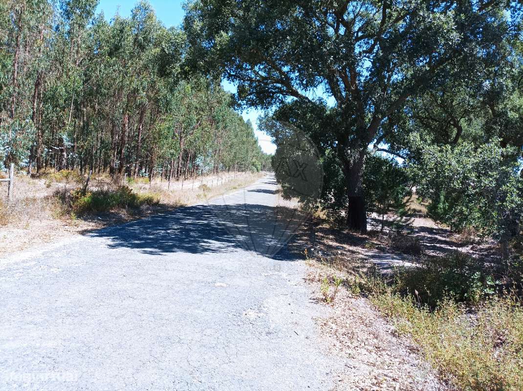 Terreno  para venda - Grande imagem: 3/7