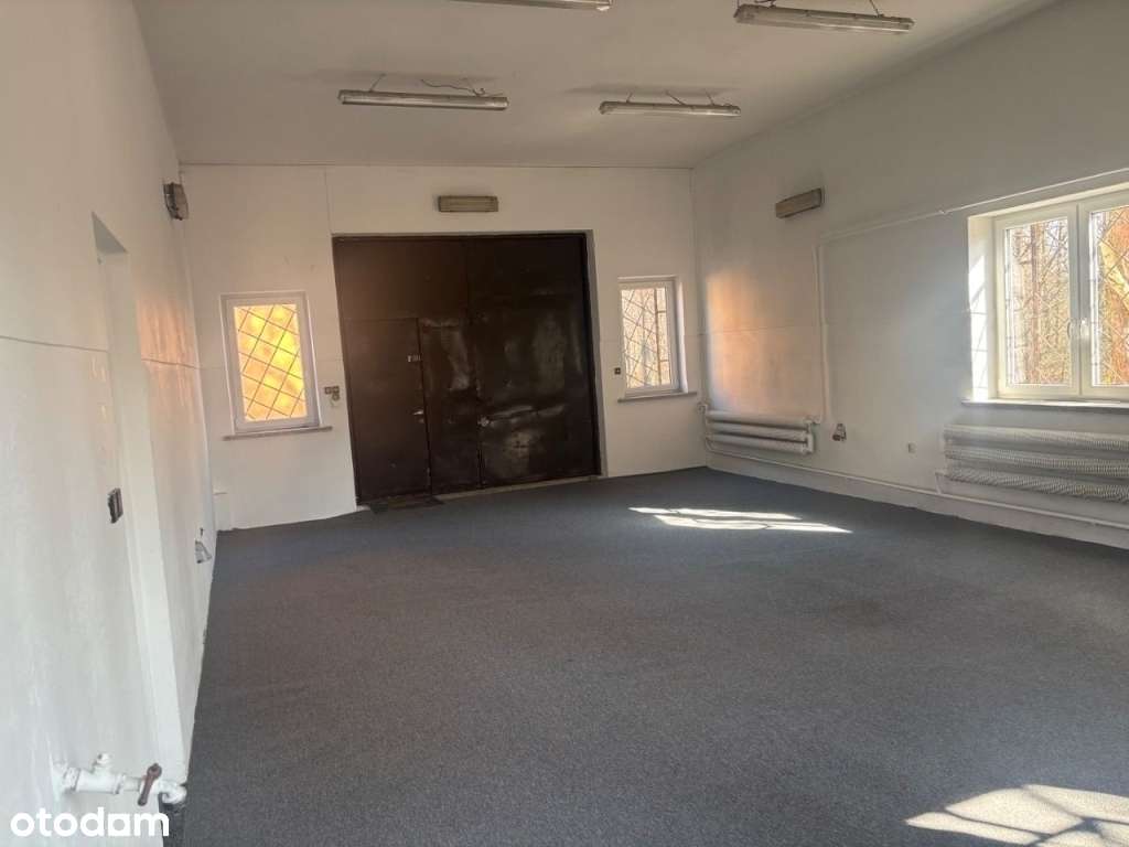 2 Hale magazynowo-produkcyjna  do wynajęcia - Pełny obrazek: 5/10