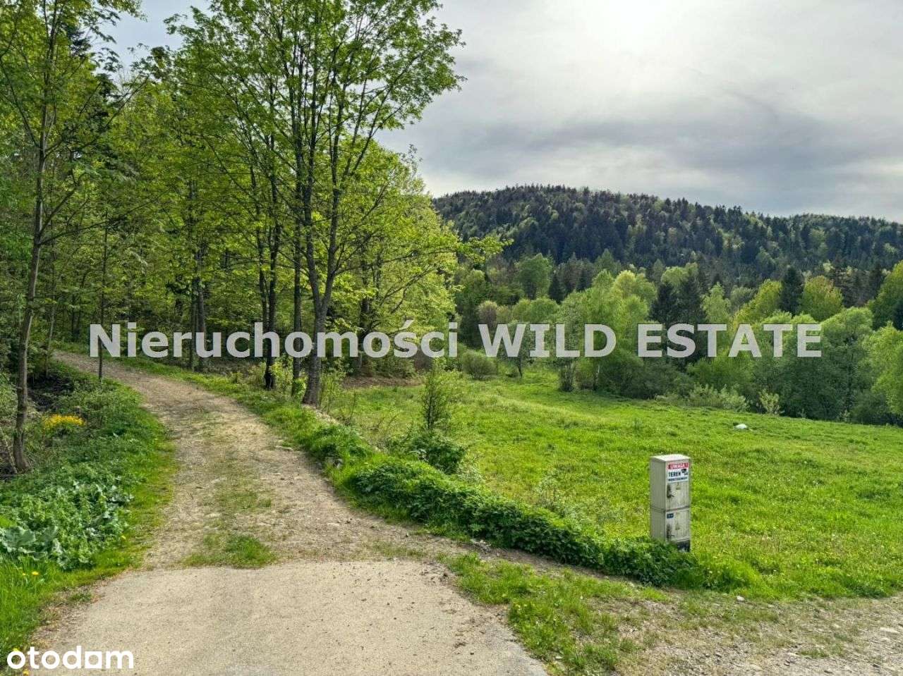 Działka, 5 049 m², Cisna - Pełny obrazek: 4/9