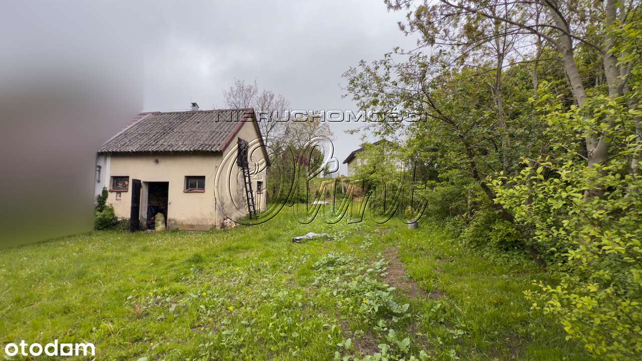 Okazja! Bliźniak z potencjałem-9