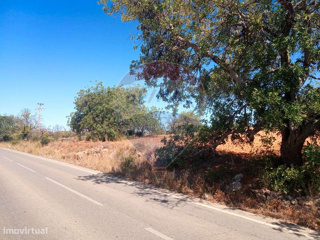 Terreno  para venda - Grande imagem: 3/12