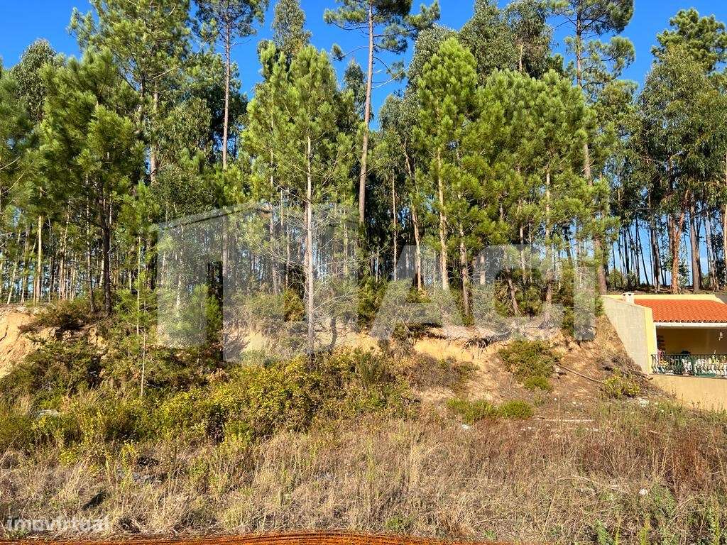 LOTE MORADIA - Quinta da Bela Vista, Cortes, Leiria - Grande imagem: 5/7
