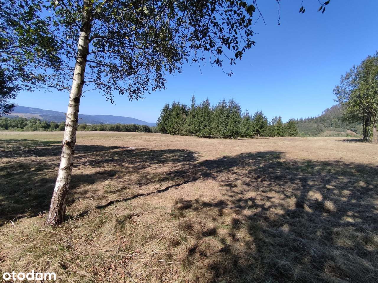 Działka marzeń w Kotlinie Kłodzkiej - budowlana