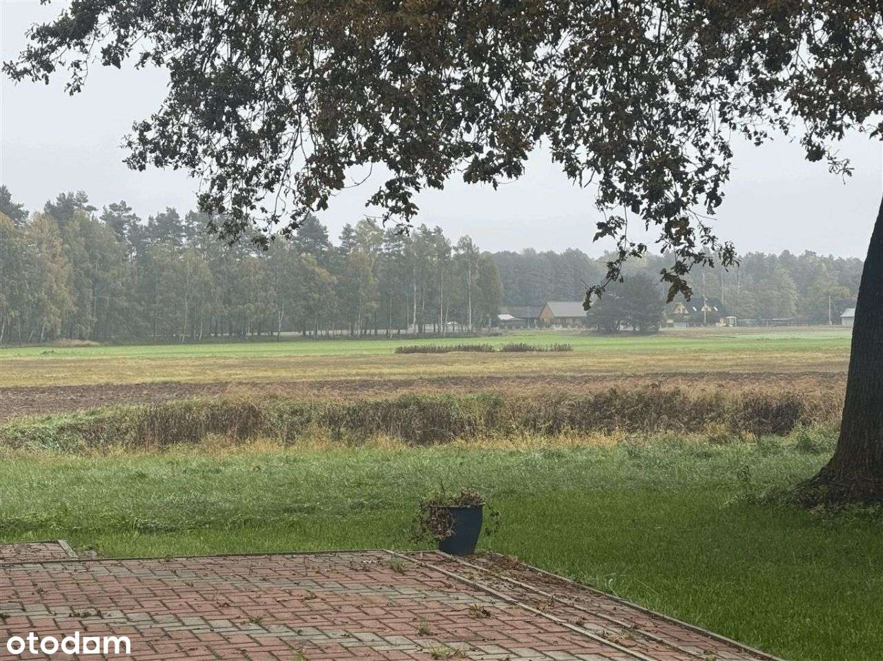 Pasywny dom (2,4 Ha) w Parku Krajobrazowym-5