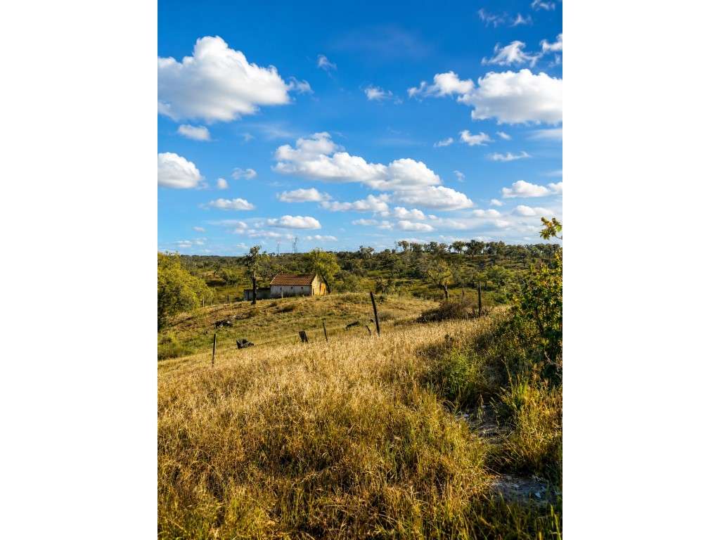 Terreno de 12ha com projeto aprovado em Grândola-20