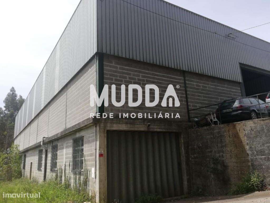 Pavilhão, Sever do Vouga - Grande imagem: 2/5