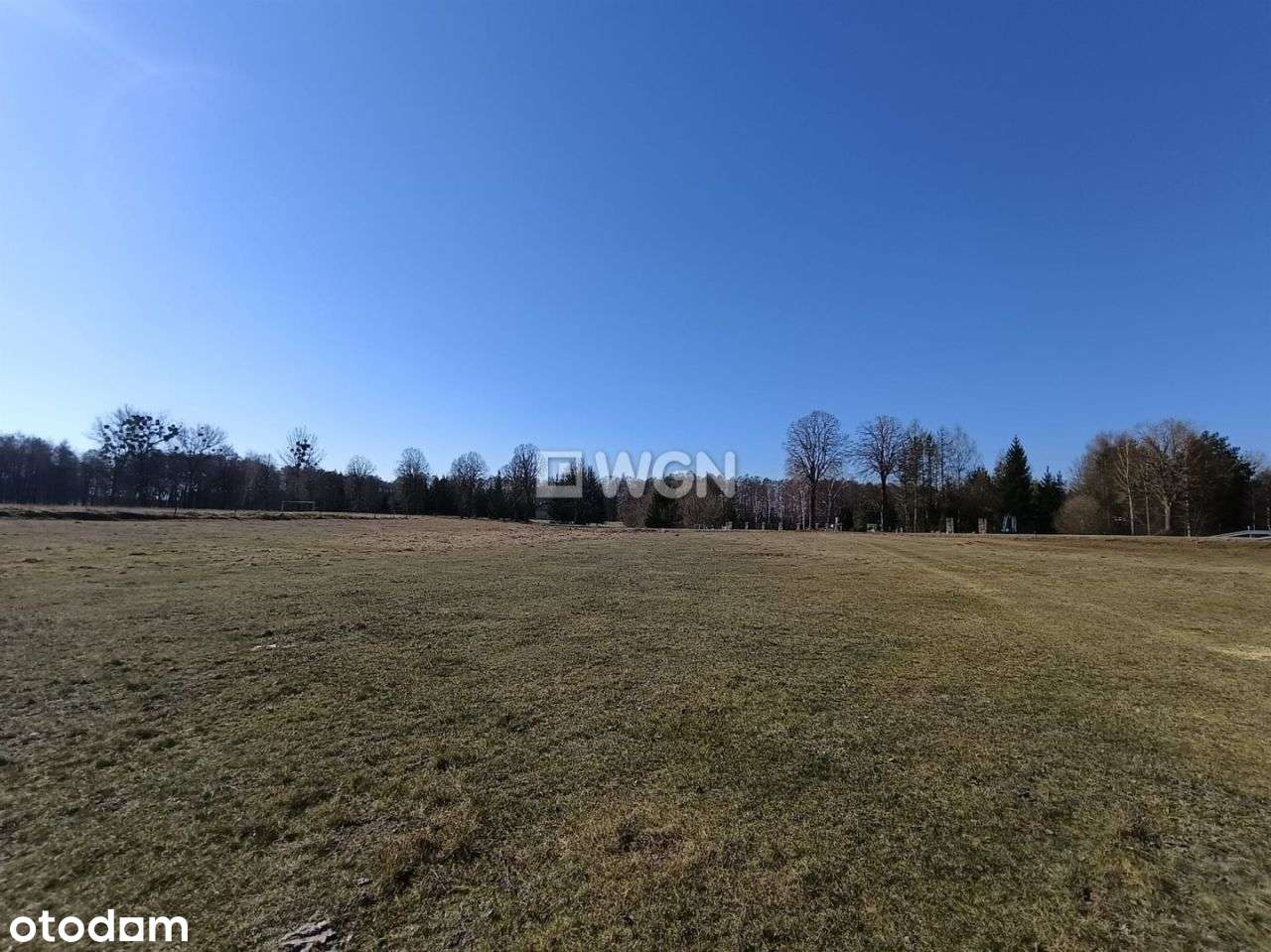 Rożyńsk działka, blisko Jeziora - Pełny obrazek: 5/15