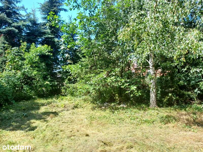 Działka, 1 600 m², Bukowina-2