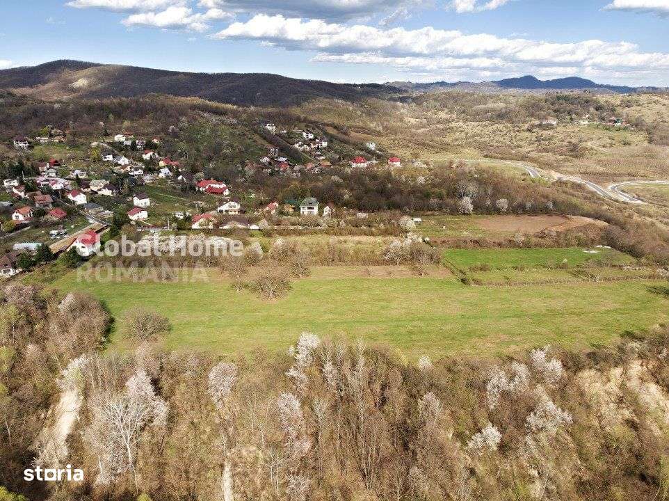 Mountain Plateau - 23.345 SQM - Exclusive Estate | Jud Prahova - Valea - Imagine principală: 4/10