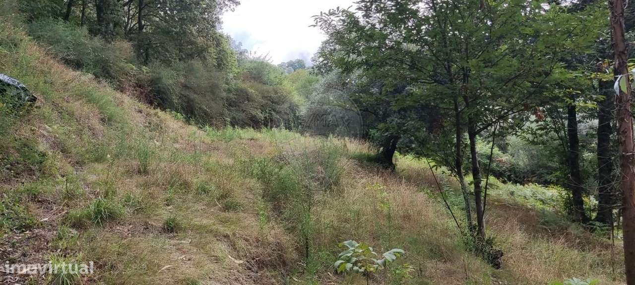 Terreno  para venda - Grande imagem: 4/12