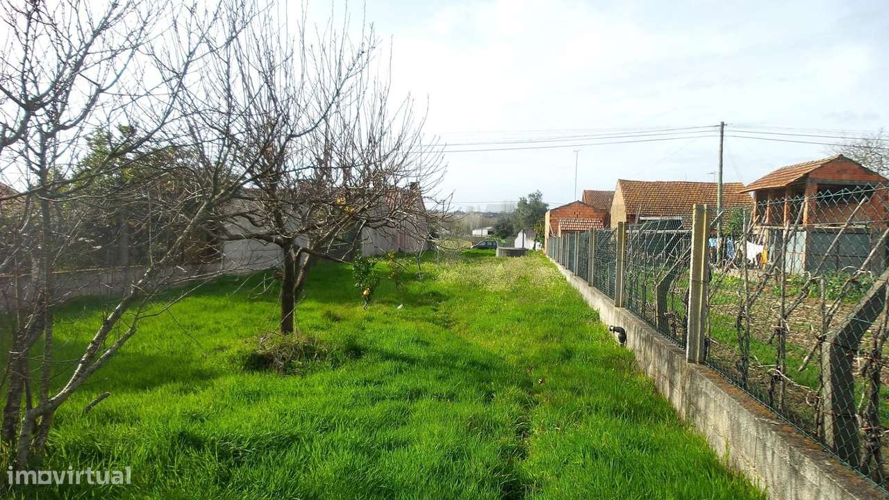 Terreno em Óis da Ribeira - Grande imagem: 4/13