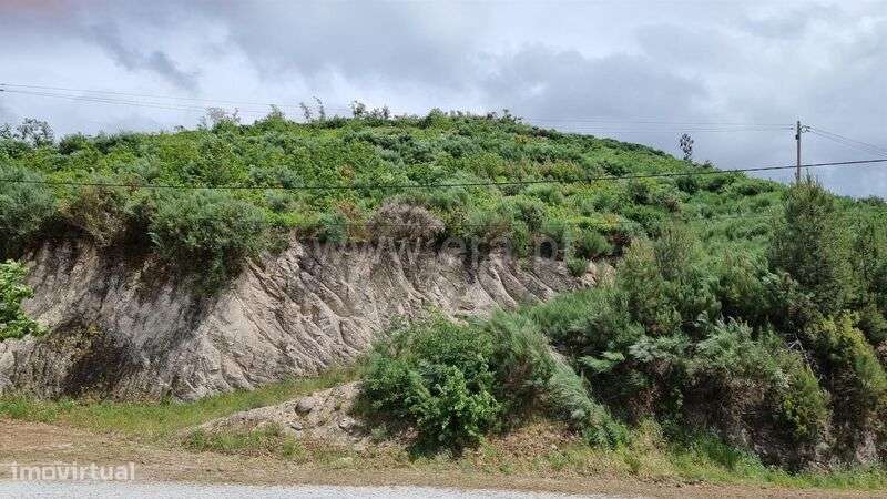 Terreno / Seia, Valezim - Grande imagem: 5/8