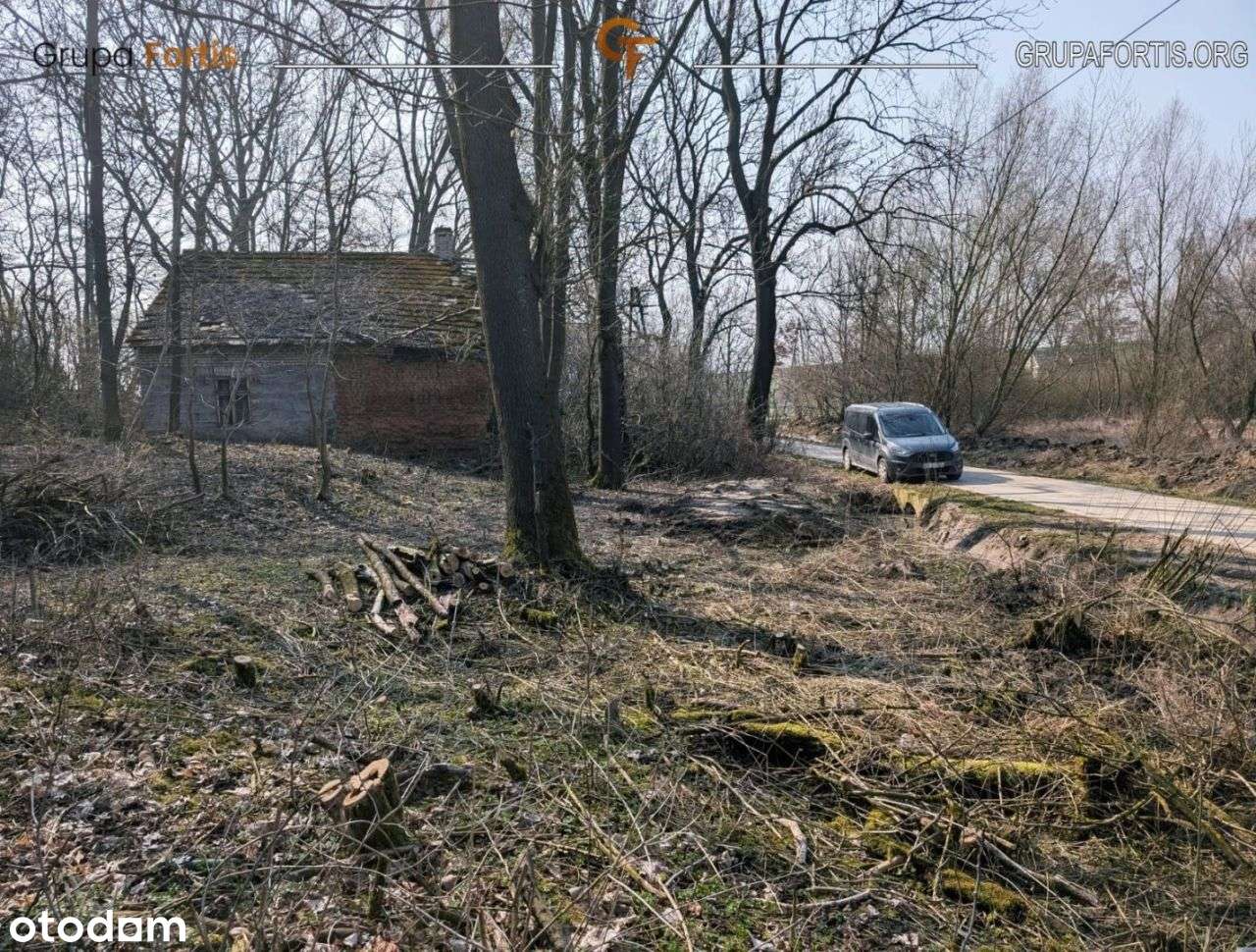 Działka budowlana 27ar z lasem - Pełny obrazek: 5/11