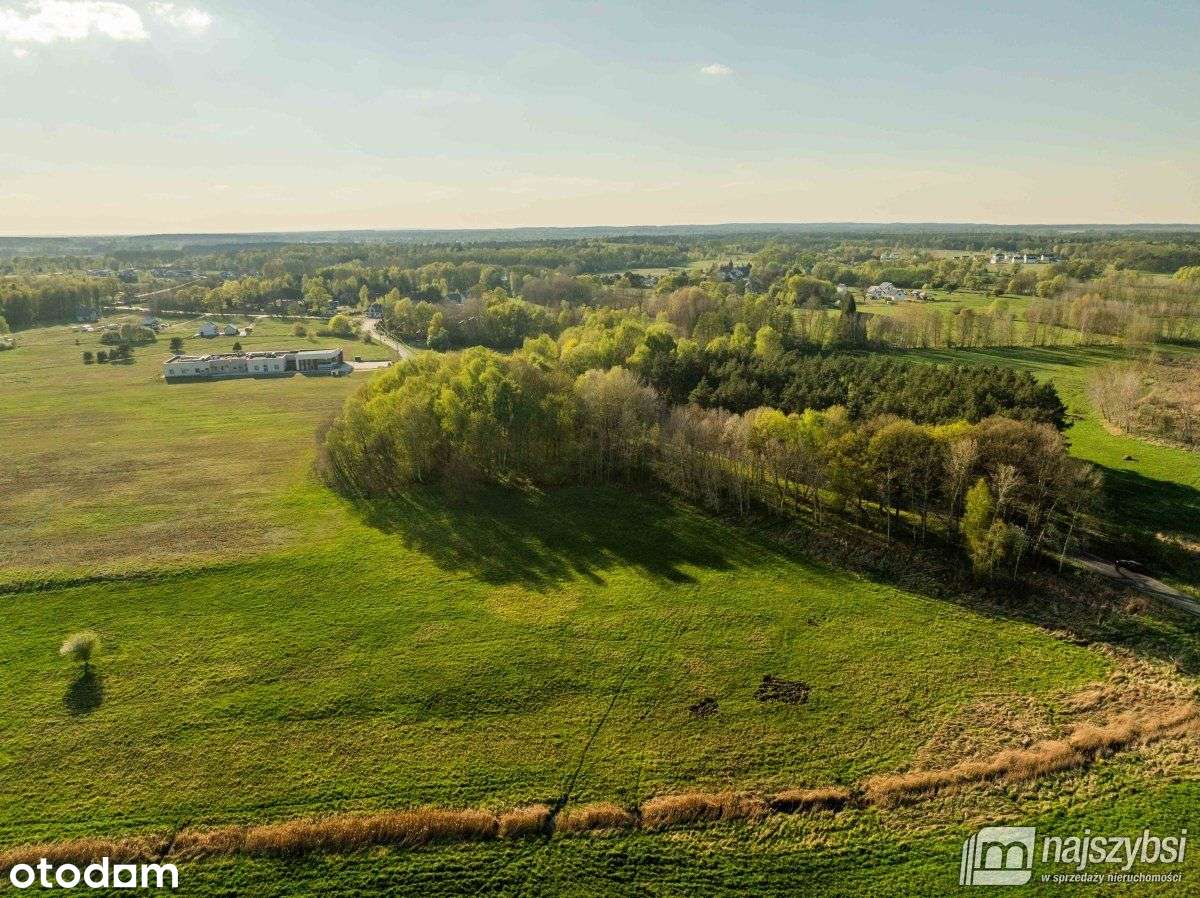 Grzepnica - Działka z wydanymi Wz z potencjałem - Pełny obrazek: 4/20