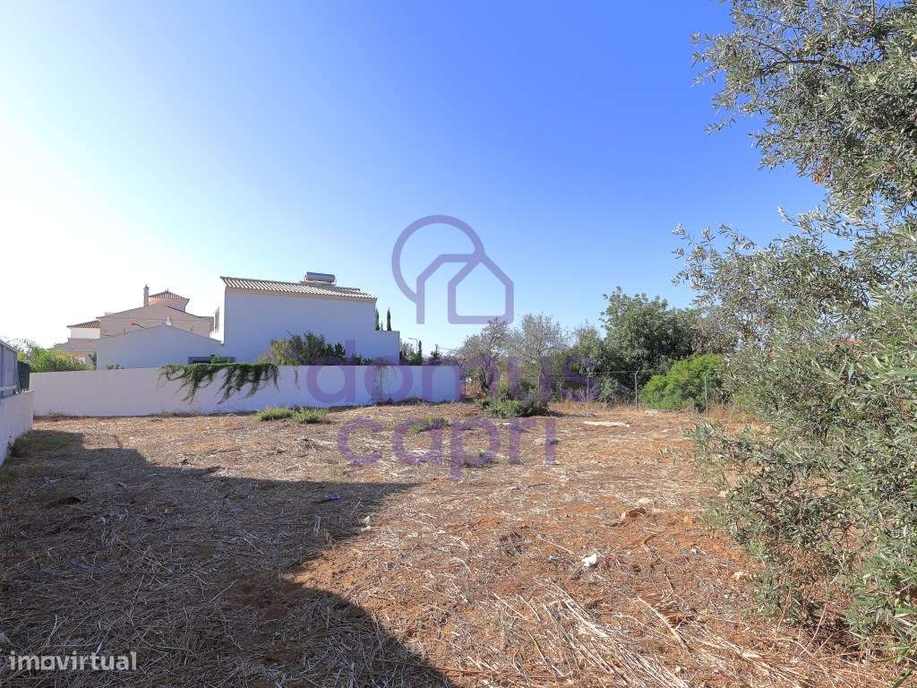 Terreno para Construção em Fuzeta-5