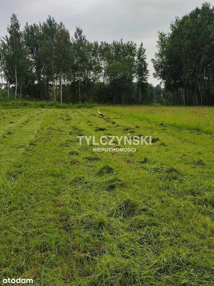 Działka w Kruszewie 1100m2. - Pełny obrazek: 5/5