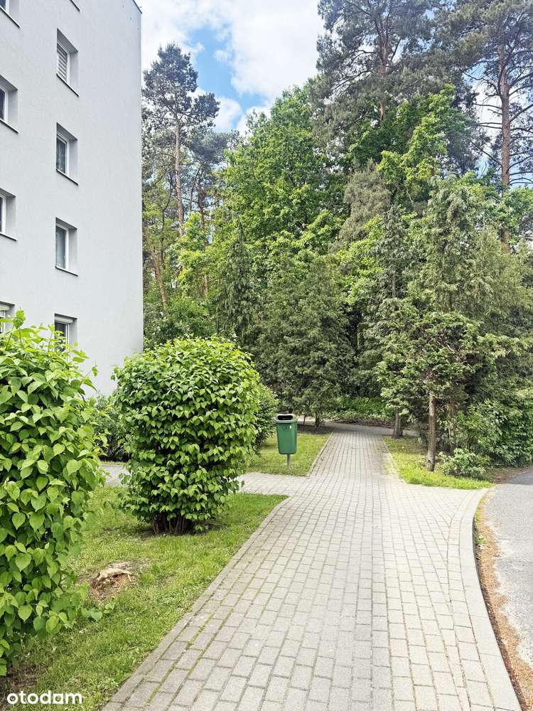 tylko tu  ładne 2/3 pokojowe os. Pomorskie-11