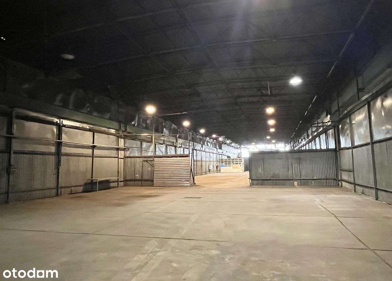 Hala magazynowo-produkcyjna, Wrocław - Pełny obrazek: 4/12